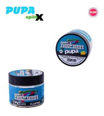 SPIINX PUPA 35MM 12P PEYNİR ALL GLOW 61 - 3