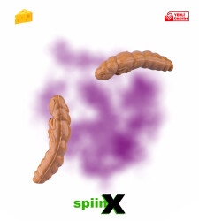 SPIINX PUPA 35MM 12P PEYNİR COFFEE 24 - SPIINX