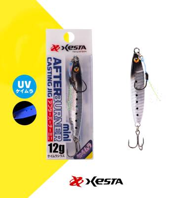 XESTA AFTER BURNER MINI 12G KSH - 2