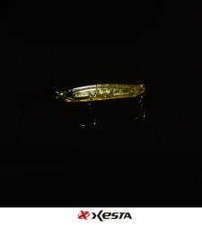 XESTA APPETITE SAHTE 60S AASL - 2