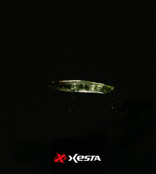 XESTA APPETITE SAHTE 60S CHSL - 2