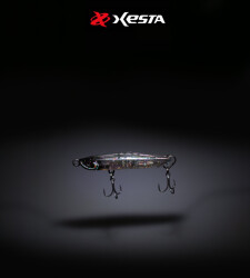 XESTA APPETITE SAHTE 60S NSUSL - 2