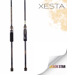 XESTA BLACK STAR EXTRA TUNED S74MX-T KAMIŞ 2.24M 1-20G 2P - 3
