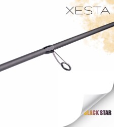 XESTA BLACK STAR EXTRA TUNED S74MX-T KAMIŞ 2.24M 1-20G 2P - 5