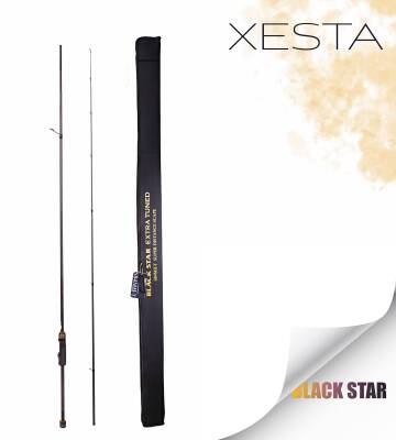 XESTA BLACKSTAR EXTRA TUNED S84MH-T KAMIŞ 2.55M 1.5-18G 2P - 1
