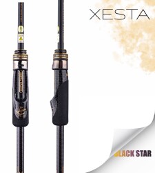 XESTA BLACKSTAR EXTRA TUNED S84MH-T KAMIŞ 2.55M 1.5-18G 2P - 2