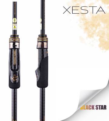 XESTA BLACKSTAR EXTRA TUNED S84MH-T KAMIŞ 2.55M 1.5-18G 2P - 2