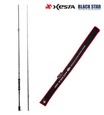 XESTA BLACKSTAR HARD S84MHX KAMIŞ 2.54M 7-35G #0.6-1.5 - 1