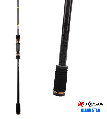 XESTA BLACKSTAR HARD S90HX KAMIŞ 2.74M 10-50G - 1
