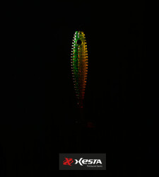 XESTA SHAD STAR SİLİKON 3.5' 9.5CM GGD 6P - 2