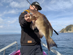 XESTA SHAD STAR SİLİKON 3.5' 9.5CM KCHGD 6P - 6