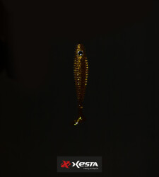 XESTA SHAD STAR SİLİKON 3.5' 9.5CM KGD 6P - 2