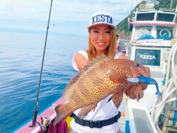 XESTA SHAD STAR SİLİKON 3.5' 9.5CM LPW 6P - 4