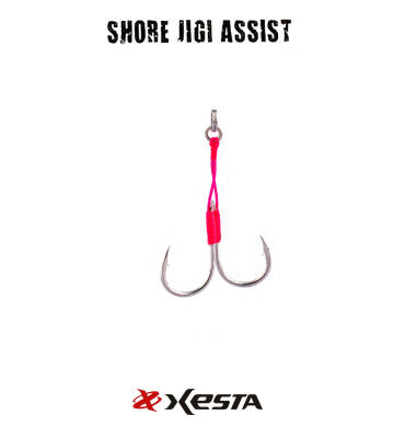 XESTA SHORE JIGGING ASSIST SINGLE SS #10 3P - 2
