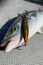 XESTA SLOW EMOTION FLAP QR 220G FOSBL - 4