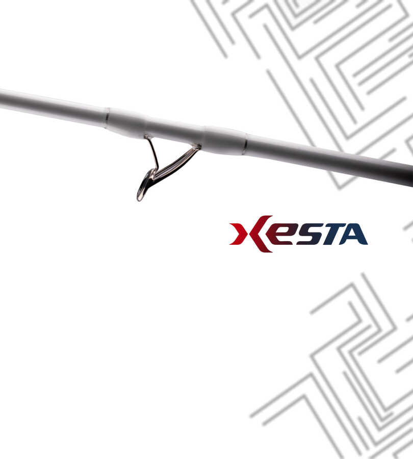 xesta-slow-emotion-power-pitch