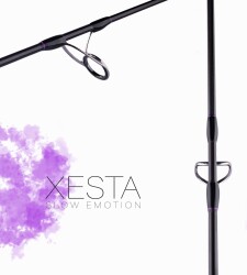 XESTA SLOW EMOTION SPIN SLOW JERK S653 1.95M 150-300G 2P - 4
