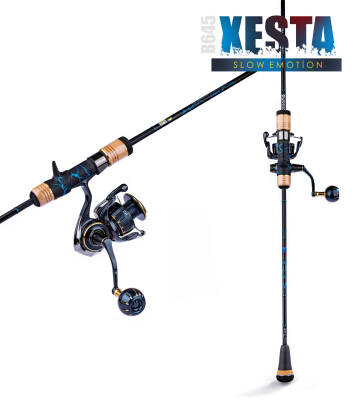 XESTA SLOW EMOTION SUMMIT EDITION B645 1.93M MAX-500G - 2