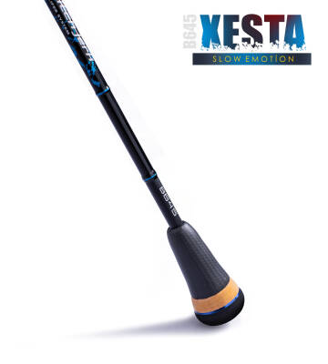 XESTA SLOW EMOTION SUMMIT EDITION B645 1.93M MAX-500G - 4