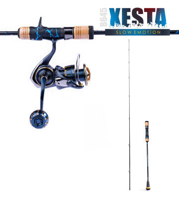 XESTA SLOW EMOTION SUMMIT EDITION B645 1.93M MAX-500G - 6
