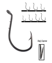 Youvella 1355 Delikli Tırnaklı Papağan Olta İğnesi 100lü Kutu Black Nikel - Youvella