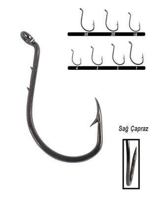 Youvella 1355 Delikli Tırnaklı Papağan Olta İğnesi 100lü Kutu Black Nikel - 1